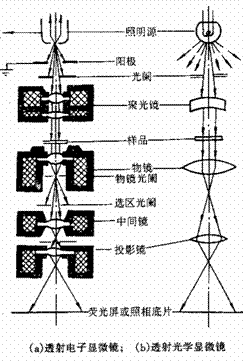 透射电镜结构简图图片